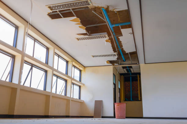 Best Water damage restoration near me  in Forney, TX