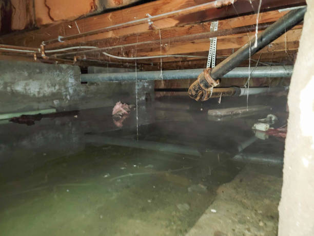 Best Commercial water damage restoration  in Forney, TX