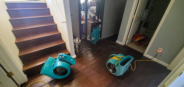Best Flood restoration services  in Forney, TX