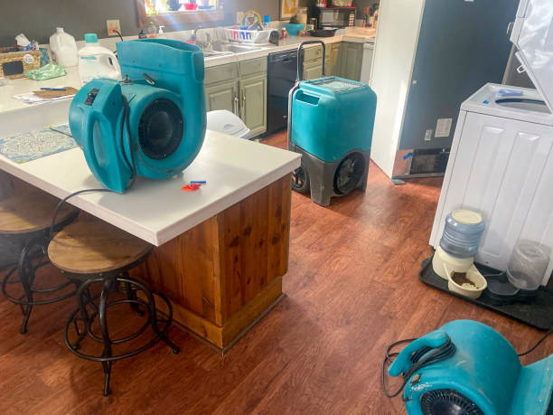  Forney, TX Water damage restoration Pros