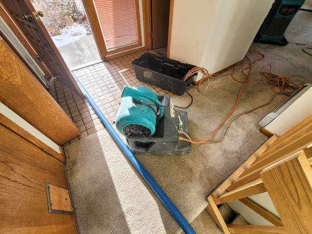 Best Emergency water damage restoration  in Forney, TX