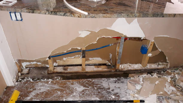 Best Water damage repair service  in Forney, TX