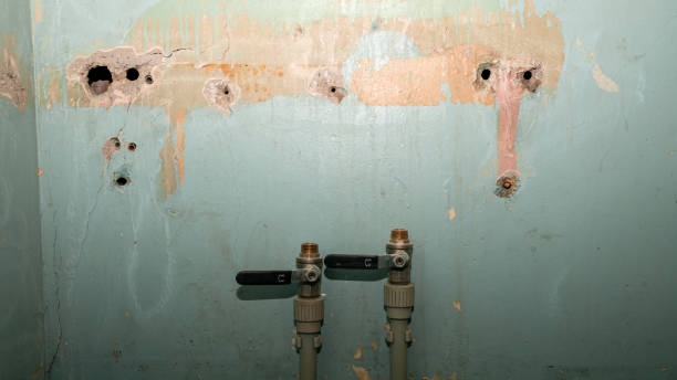Best Water damage cleanup near me  in Forney, TX