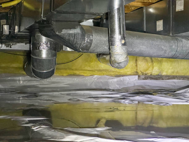 Best Water damage restoration near me  in Forney, TX