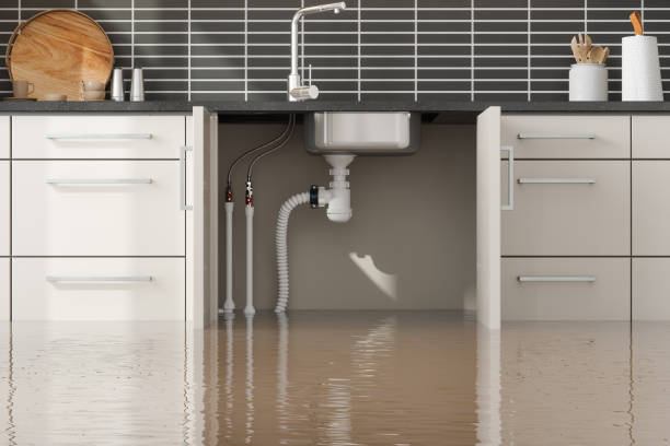 Best Water damage restoration near me  in Forney, TX
