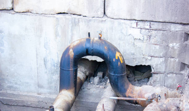 Best Water damage restoration near me  in Forney, TX