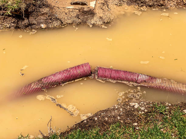 Best Residential water damage restoration  in Forney, TX