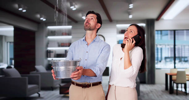 Best Water damage repair service  in Forney, TX