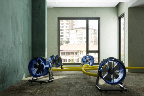 Best Residential water damage restoration  in Forney, TX