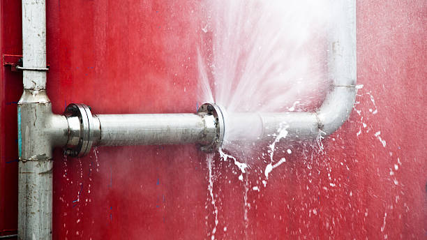 Best Ceiling water damage repair  in Forney, TX