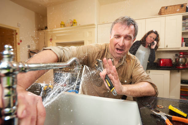 Best Professional water damage repair  in Forney, TX
